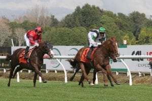 Weather hampering Pike's 3YO plans