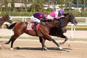 Tsui proud of Fight Hero’s effort in defeat in Korea Sprint