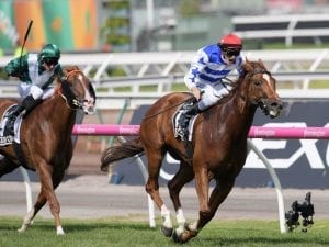 Redkirk Warrior on song for spring return