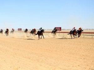 Birdsville Cup