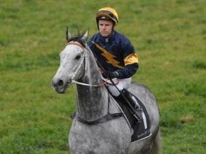 Chautauqua passes Flemington jump-out test