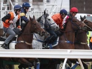 Chautauqua gets out in Flemington jump-out