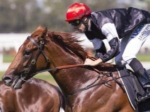 Written By pleases in Mornington gallop