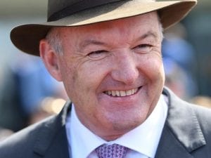 Warrior chases Everest spot at Flemington