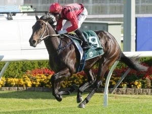 Cap D'Antibes likely for Smart Melody