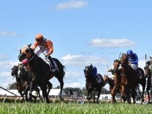 Ace High could take on Winx in George Main