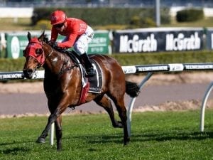 Redzel secures spot in The Everest