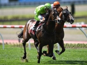 Royal Symphony ready for Flemington return