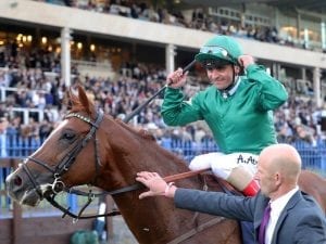 Decorated Knight in upset Irish win