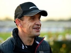 Winx picture perfect for Main: Waller