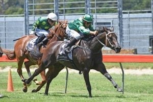 Rogerson keen to unleash mare’s power