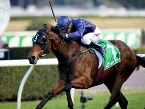 Formality in order for Golden Rose assault