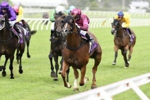 Next run critical for Major Tom