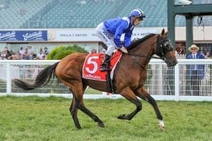 Muraaqeb firms for Epsom with Randwick win