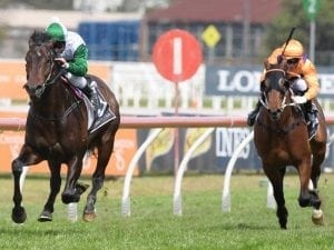 Gai Waterhouse thinking big with stayer