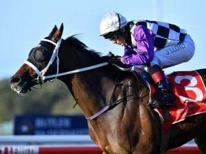 Spell helps Zumbelina regain winning form