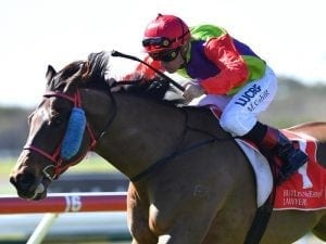 Long shot combo team up at Sunshine Coast