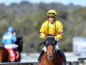 Blinkers provide spark for ex-Perth mare