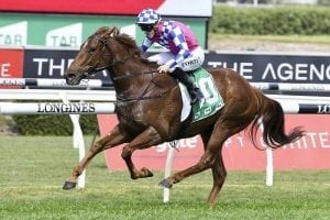 Sei Stella blitzes Randwick Highway field