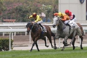 Eyes on December prize for Southern Legend ahead of HKSAR Chief Executive’s Cup return