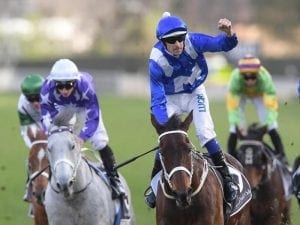 Australian mare Winx's 20 Group One wins