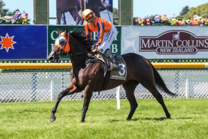 Walker heads south for Riccarton double header