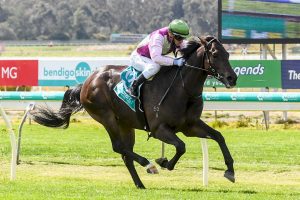 Mornington Glory wins on debut