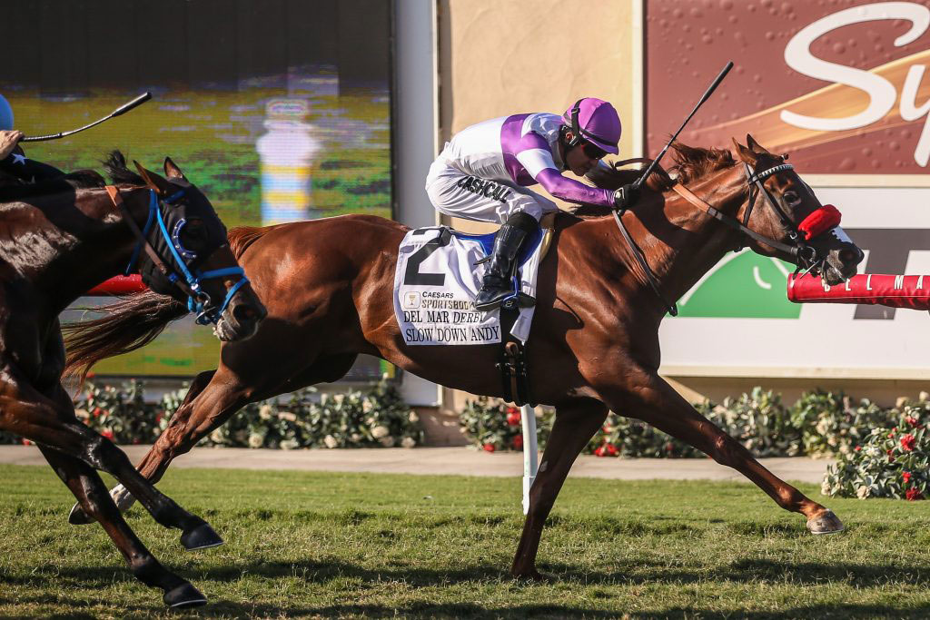 Breeders’ Cup in play for Slow Down Andy after Del Mar Derby win BOAY