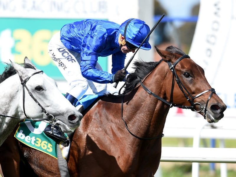 Godolphin stayer Qewy collects Geelong Cup