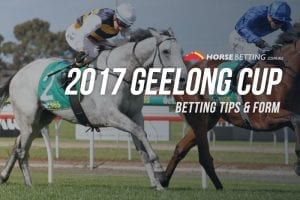 Geelong Cup tips