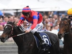 Verry Elleegant earns VRC Oaks favouritism