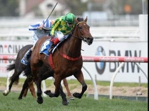 Wheal Leisure wins Inglis Cup at Caulfield