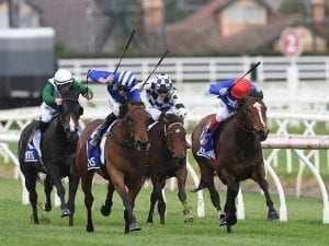 Zizzis fortunes on rise in Caulfield win