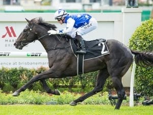 Schweida begins a Magic Millions Odyssey