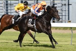 Embellish back on track