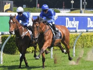 Alizee confirmed to run in The Everest
