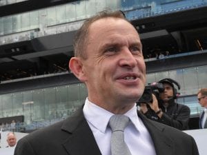 Waller says Yes Yes Yes to 3YO in Everest