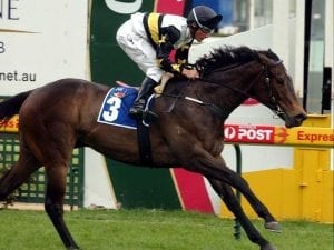 Multiple G1 winner Alinghi dies aged 16