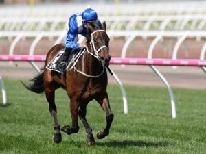 Winx headlines Breakfast with the Best