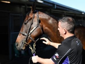 Winx's next chapter still to be written