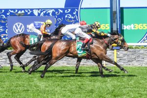 Grand Pierro wins Geelong Classic