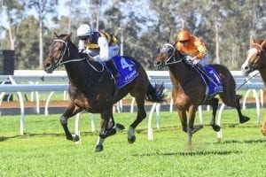 Chris Waller aiming high with Bridge