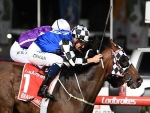 Blinkers help Brave Smash to Manikato win