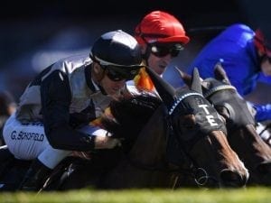 Houtzen ready for Moir Stakes return bout