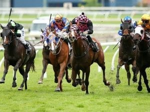 Govt to meet striking Qld racing industry