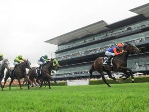 Nettoyer ready to eat up the Randwick mile