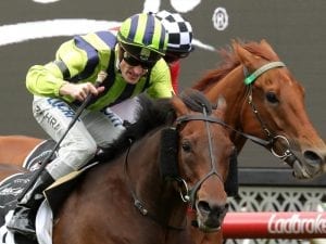 Ventura Storm takes out Moonee Valley Cup