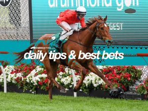 Today's horse racing tips & best bets | October 23, 2021