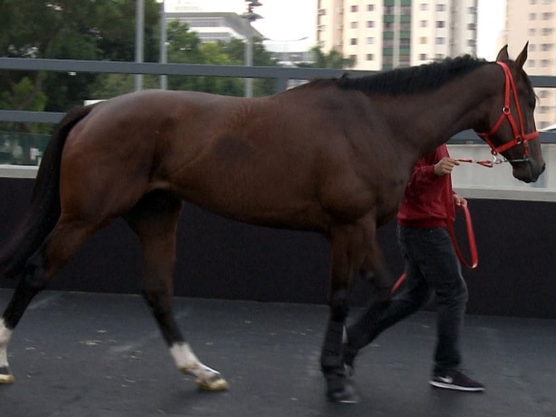 Takedown touches down in Hong Kong