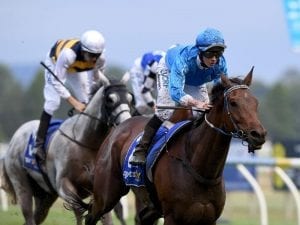 Grand Dreamer prevails in wet Ballarat Cup